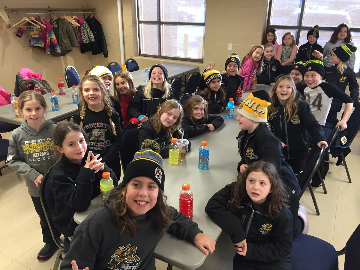 Sarnia_Lady_Sting_and_Mitchell_Meteors_Group_Photo.JPG
